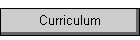Curriculum